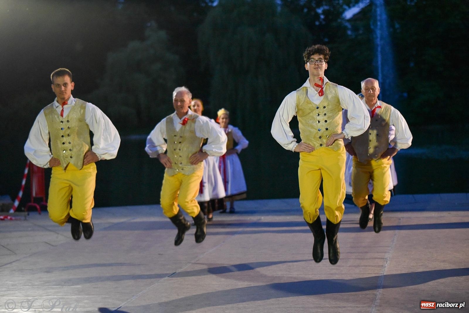 Zdjęcie w galerii na portalu naszraciborz.pl: W poszukiwaniu kwiatu paproci. Noc Świętojańska w parku im. Miasta Roth [FOTO i WIDEO] wiadomości z regionu