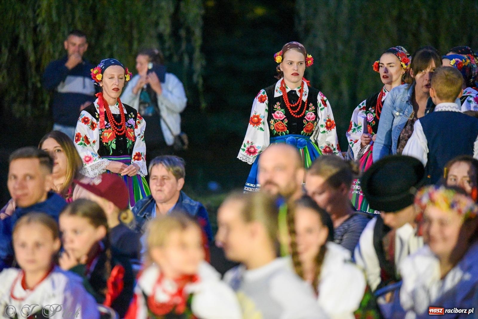Zdjęcie w galerii na portalu naszraciborz.pl: W poszukiwaniu kwiatu paproci. Noc Świętojańska w parku im. Miasta Roth [FOTO i WIDEO] wiadomości z regionu
