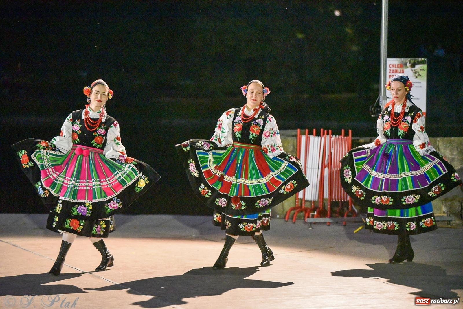 Zdjęcie w galerii na portalu naszraciborz.pl: W poszukiwaniu kwiatu paproci. Noc Świętojańska w parku im. Miasta Roth [FOTO i WIDEO] wiadomości z regionu