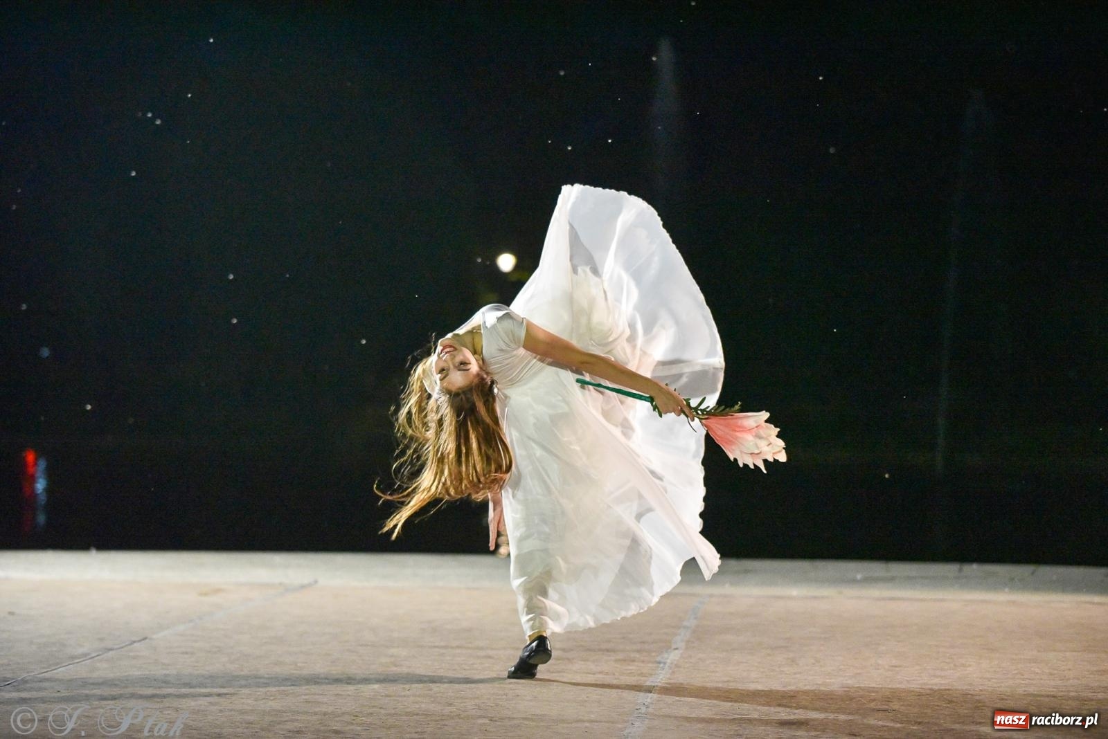 Zdjęcie w galerii na portalu naszraciborz.pl: W poszukiwaniu kwiatu paproci. Noc Świętojańska w parku im. Miasta Roth [FOTO i WIDEO] wiadomości z regionu