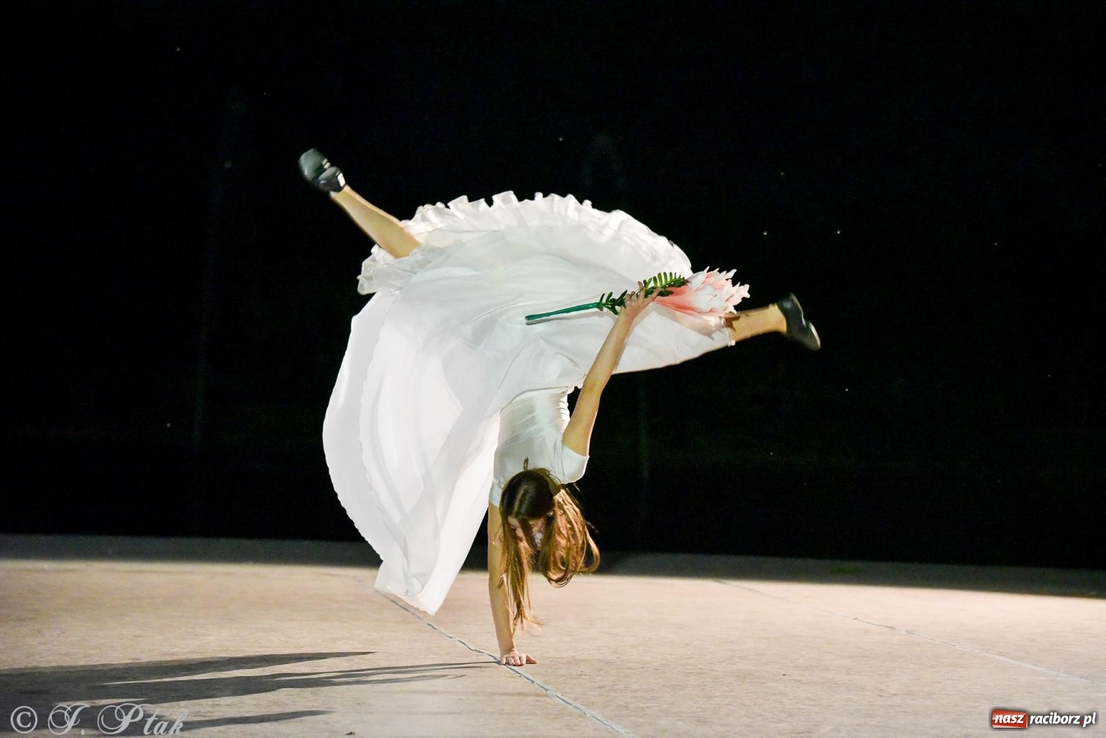 Zdjęcie w galerii na portalu naszraciborz.pl: W poszukiwaniu kwiatu paproci. Noc Świętojańska w parku im. Miasta Roth [FOTO i WIDEO] wiadomości z regionu