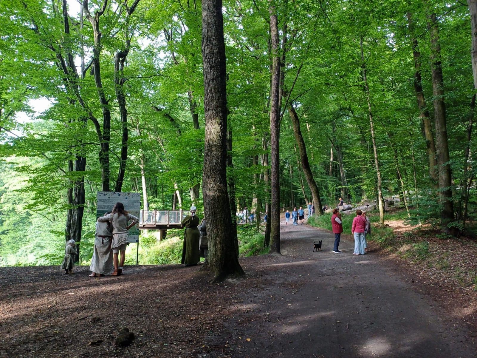 Zdjęcie w galerii na portalu naszraciborz.pl: Dźwięki harfy i gitary wypełniły Zaczarowany Ogród wiadomości z regionu