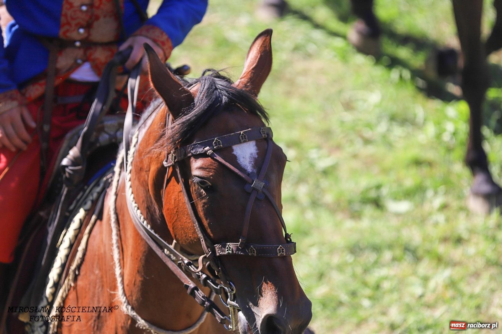 Zdjęcie w galerii na portalu naszraciborz.pl: Szczęk oręża i świt Emporium w Raciborzu [FOTO i WIDEO] wiadomości z regionu