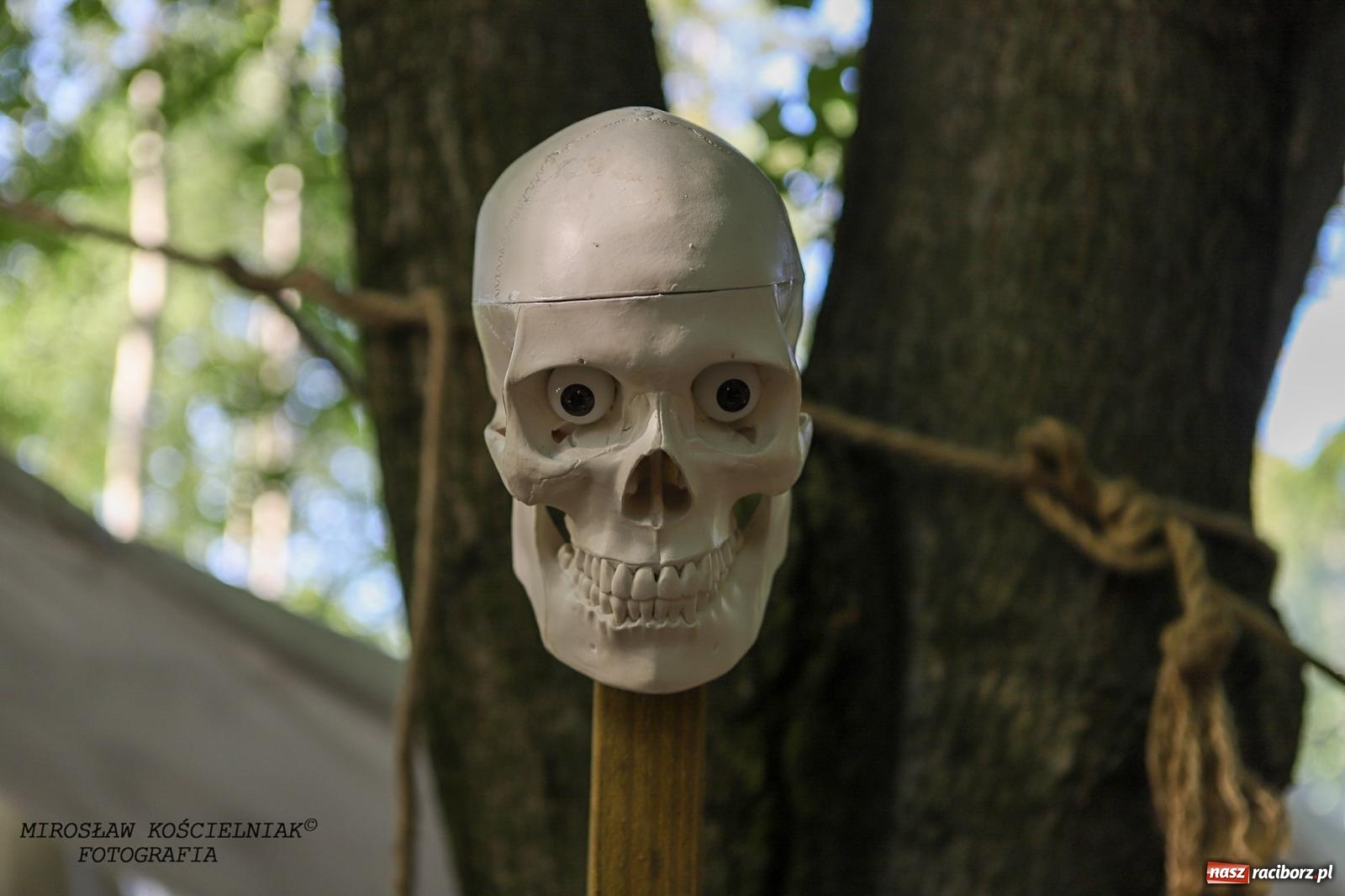 Zdjęcie w galerii na portalu naszraciborz.pl: Szczęk oręża i świt Emporium w Raciborzu [FOTO i WIDEO] wiadomości z regionu