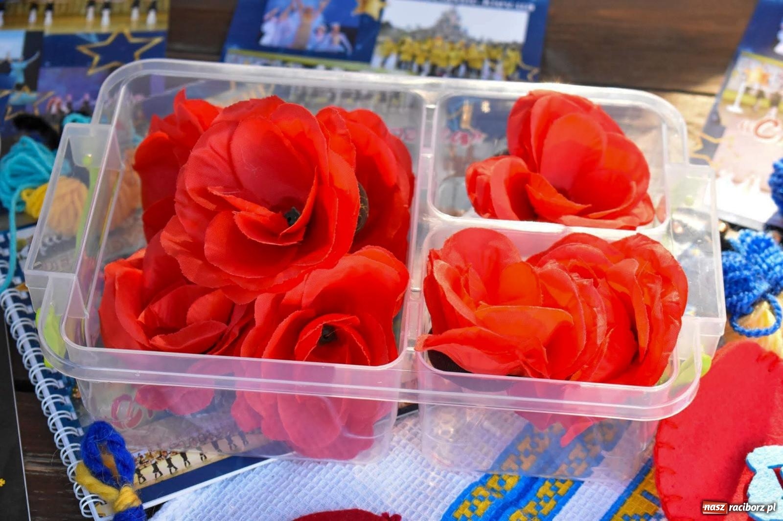 Zdjęcie w galerii na portalu naszraciborz.pl: Raciborskie święto folkloru. Kolorowa parada przeszła przez miasto, tańce na zamku [FOTO i WIDEO] wiadomości z regionu