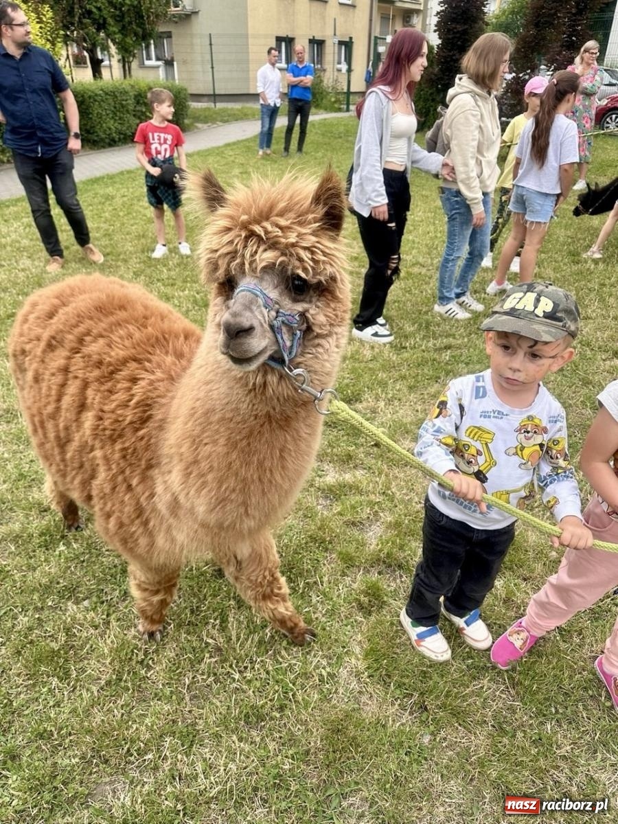 Zdjęcie w galerii na portalu naszraciborz.pl: Rodzinny festyn szkolny w Trzynastce wiadomości z regionu