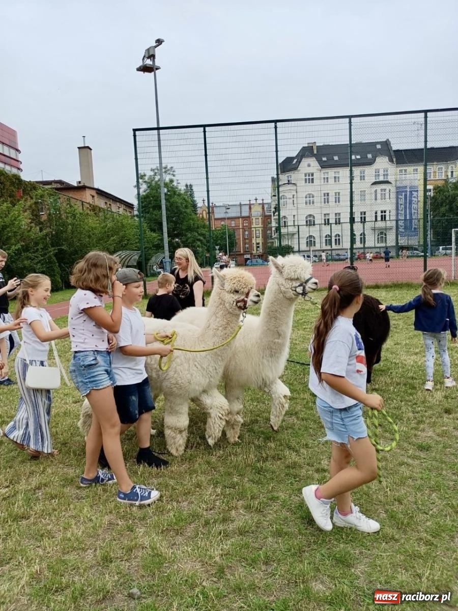 Zdjęcie w galerii na portalu naszraciborz.pl: Rodzinny festyn szkolny w Trzynastce wiadomości z regionu