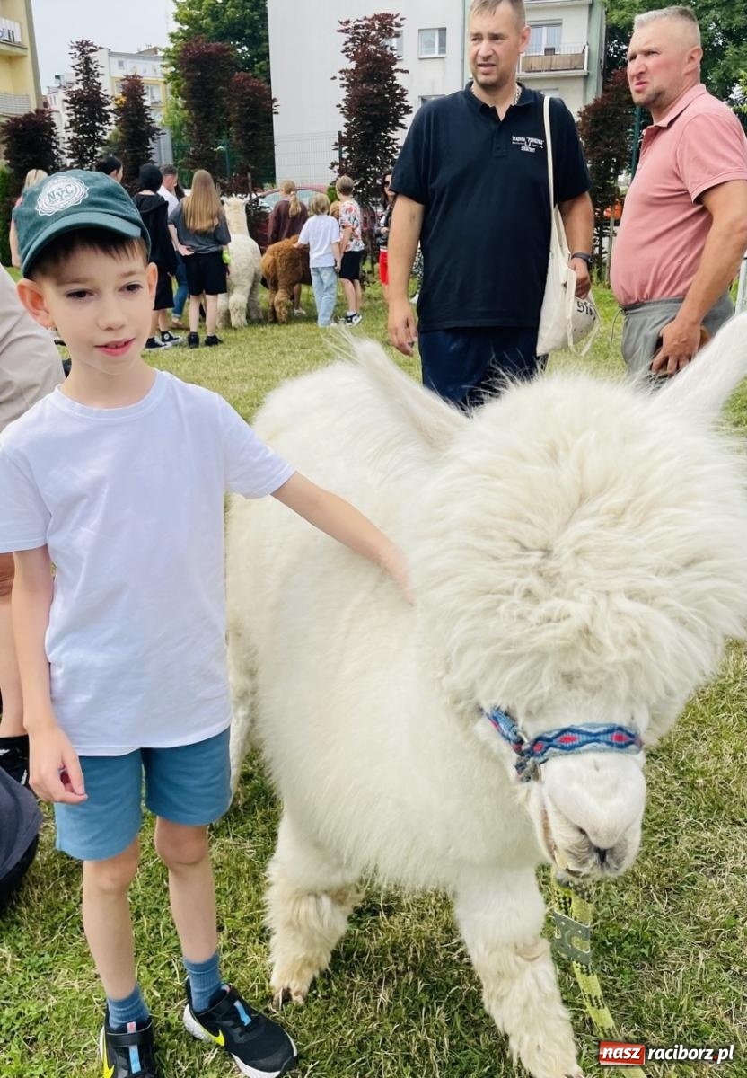 Zdjęcie w galerii na portalu naszraciborz.pl: Rodzinny festyn szkolny w Trzynastce wiadomości z regionu