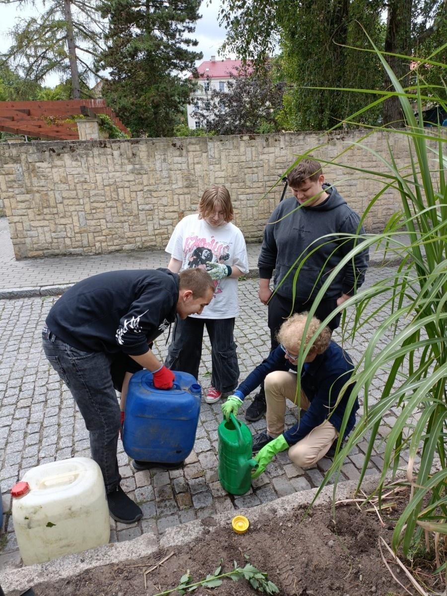 Zdjęcie w galerii na portalu naszraciborz.pl: Zakątek przy Karola Miarki upiększyły różnorodne rośliny wiadomości z regionu