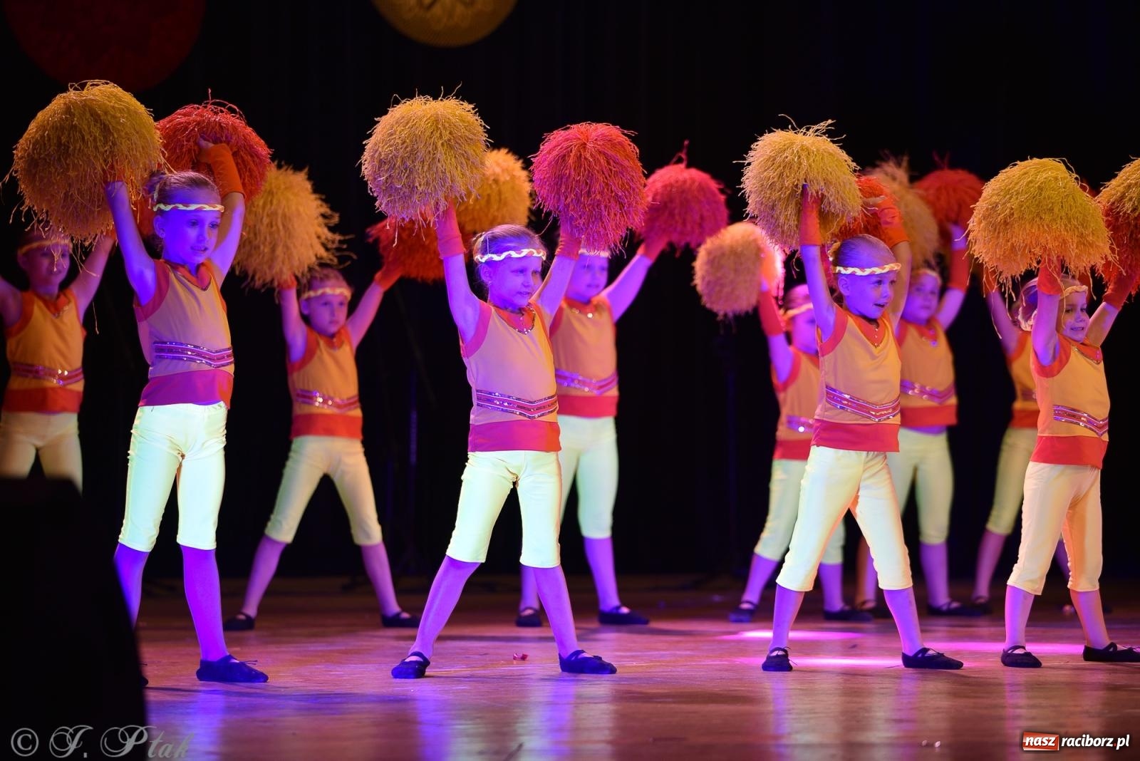 Zdjęcie w galerii na portalu naszraciborz.pl: Śląsk Kraina Wielu Kultur - koncert galowy w RCK wiadomości z regionu