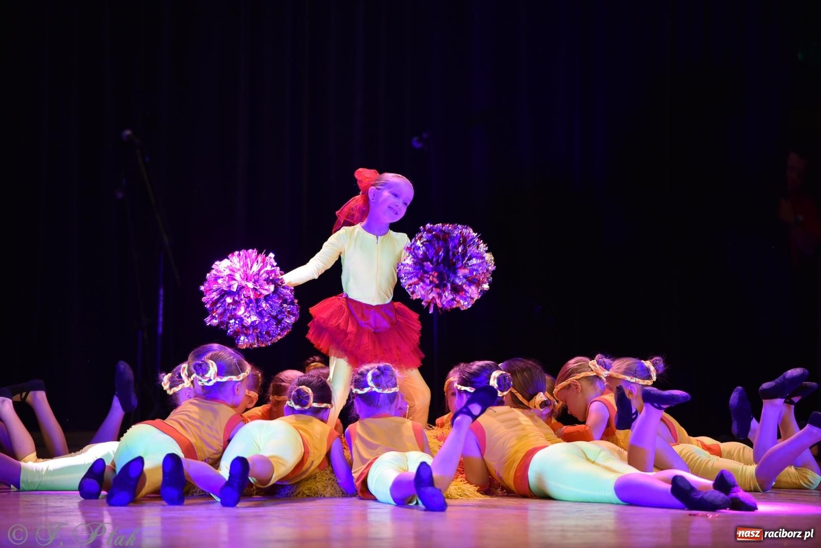 Zdjęcie w galerii na portalu naszraciborz.pl: Śląsk Kraina Wielu Kultur - koncert galowy w RCK wiadomości z regionu