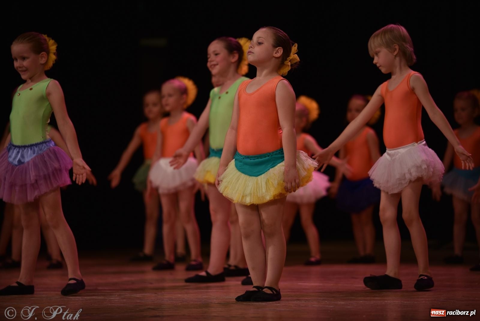 Zdjęcie w galerii na portalu naszraciborz.pl: Śląsk Kraina Wielu Kultur - koncert galowy w RCK wiadomości z regionu