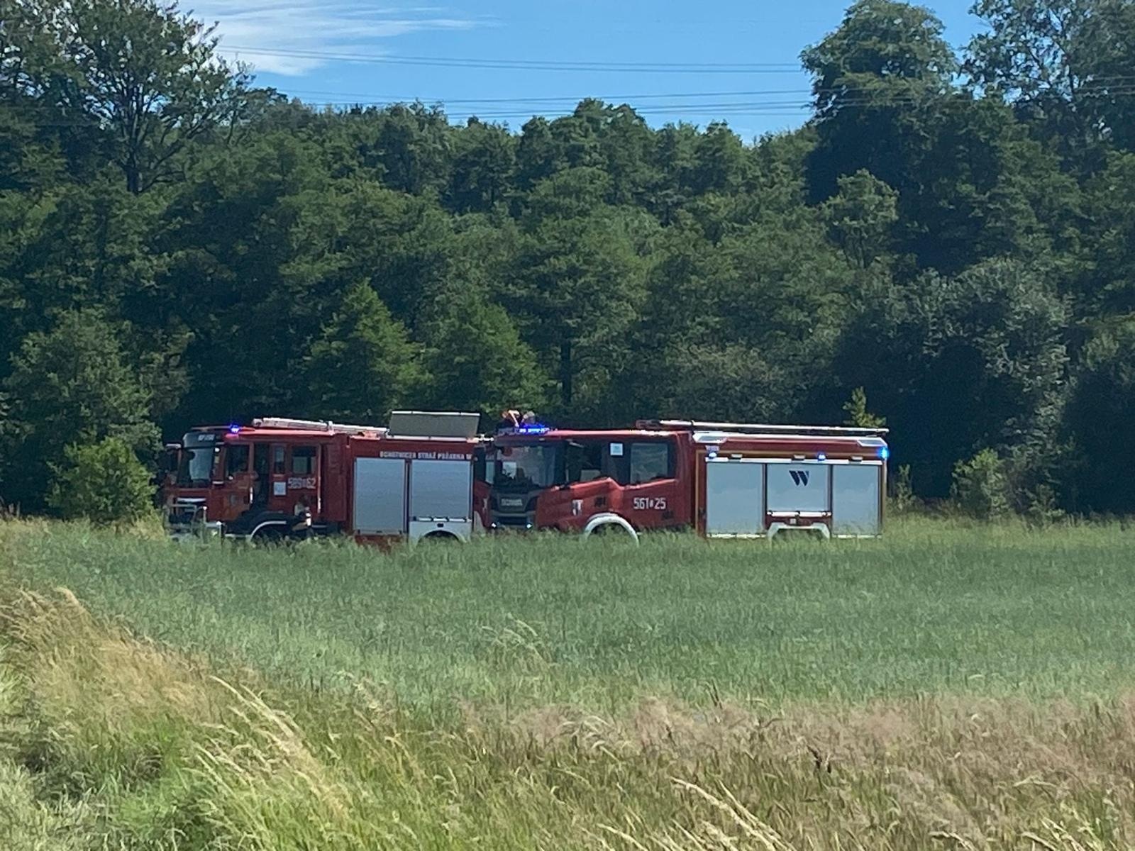 Zdjęcie w galerii na portalu naszraciborz.pl: Dwie strażackie interwencje w Żytnej. Pożar trawy na nieużytkach wiadomości z regionu