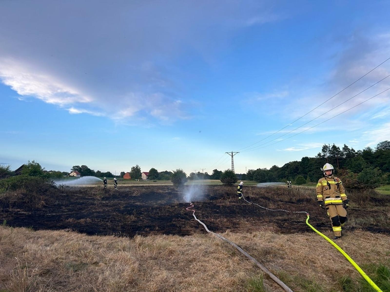 Zdjęcie w galerii na portalu naszraciborz.pl: Dwie strażackie interwencje w Żytnej. Pożar trawy na nieużytkach wiadomości z regionu