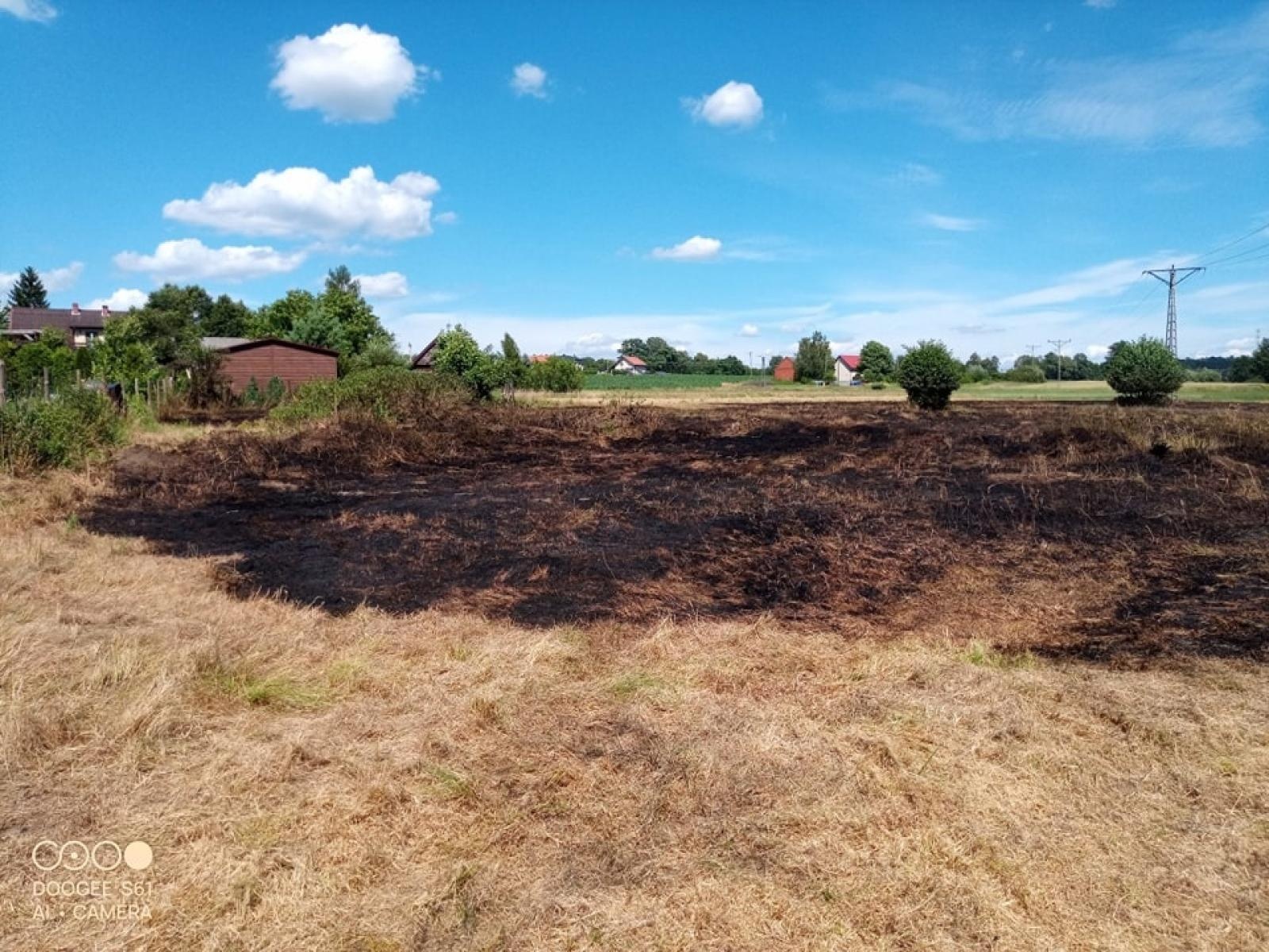 Zdjęcie w galerii na portalu naszraciborz.pl: Dwie strażackie interwencje w Żytnej. Pożar trawy na nieużytkach wiadomości z regionu