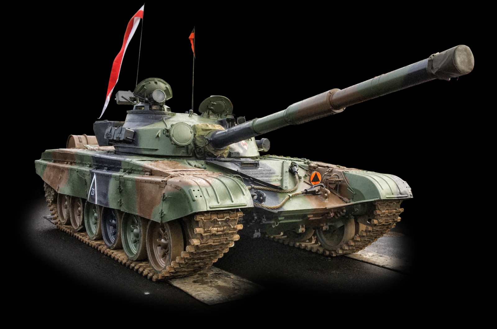 Zdjęcie w galerii na portalu naszraciborz.pl: Dzień Ratownika i Strażnika Bezpieczeństwa: Gramy dla Maksa z Fundacją TVS wiadomości z regionu