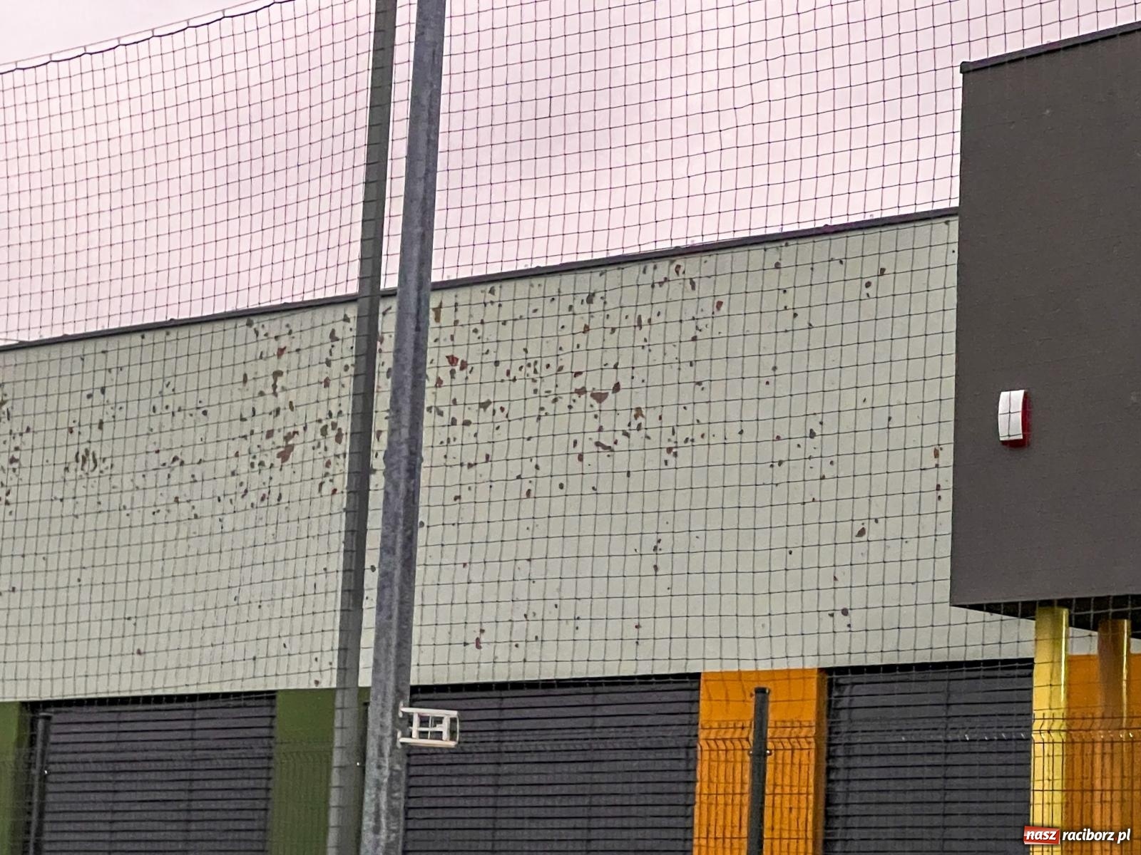 Zdjęcie w galerii na portalu naszraciborz.pl: Grad zdewastował elewacje domów i szkoły w Markowicach [FOTO] wiadomości z regionu