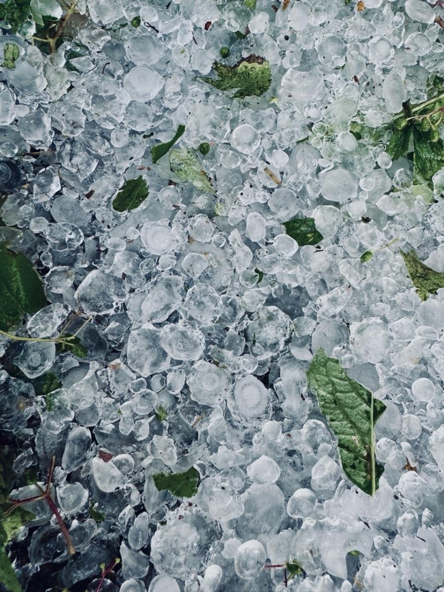 Zdjęcie w galerii na portalu naszraciborz.pl: Blisko 140 interwencji po nawałnicy. Najwięcej w Raciborzu wiadomości z regionu