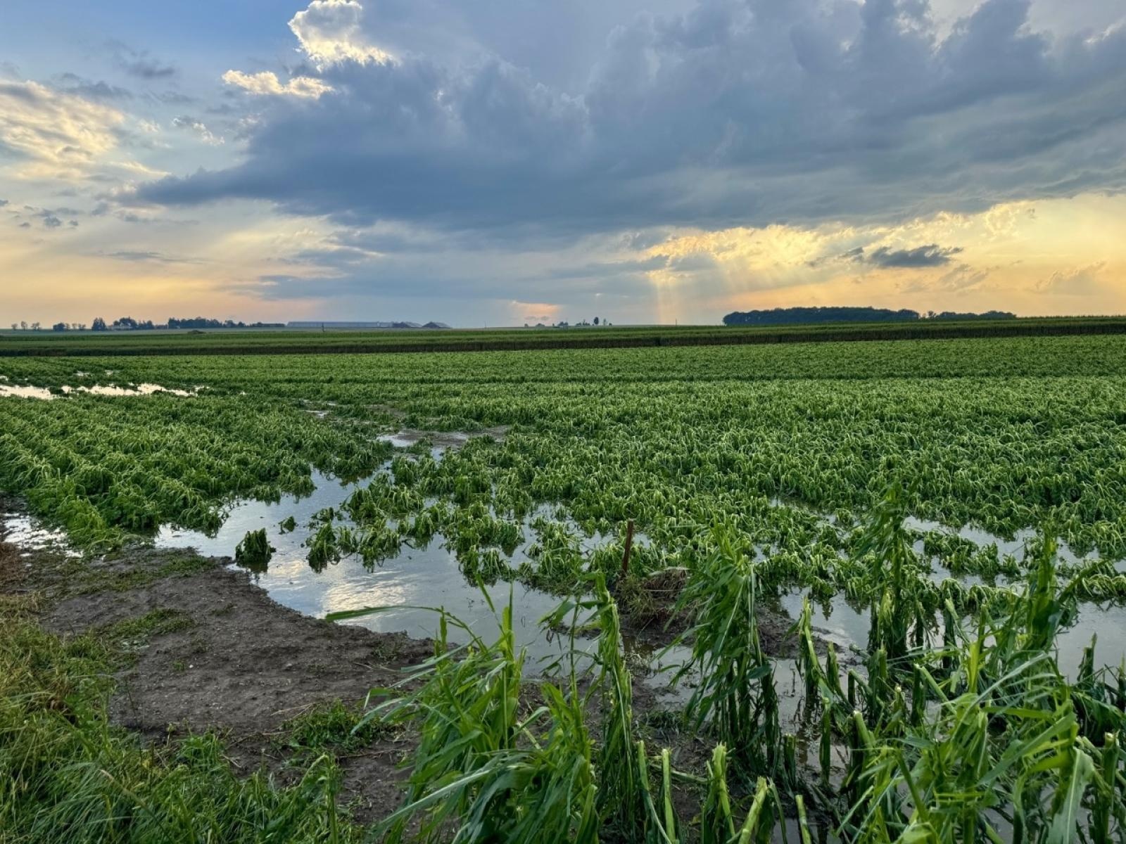 Zdjęcie w galerii na portalu naszraciborz.pl: Blisko 140 interwencji po nawałnicy. Najwięcej w Raciborzu wiadomości z regionu