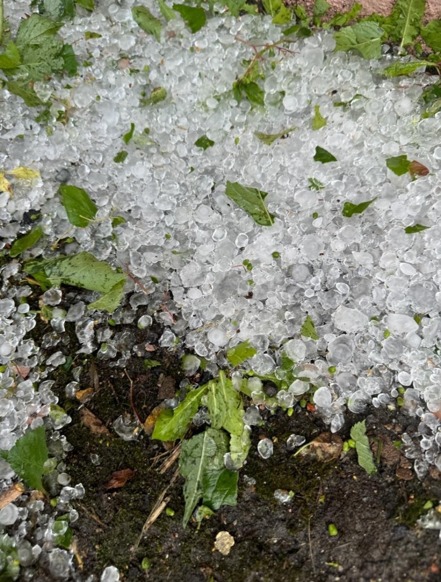 Zdjęcie w galerii na portalu naszraciborz.pl: Blisko 140 interwencji po nawałnicy. Najwięcej w Raciborzu wiadomości z regionu