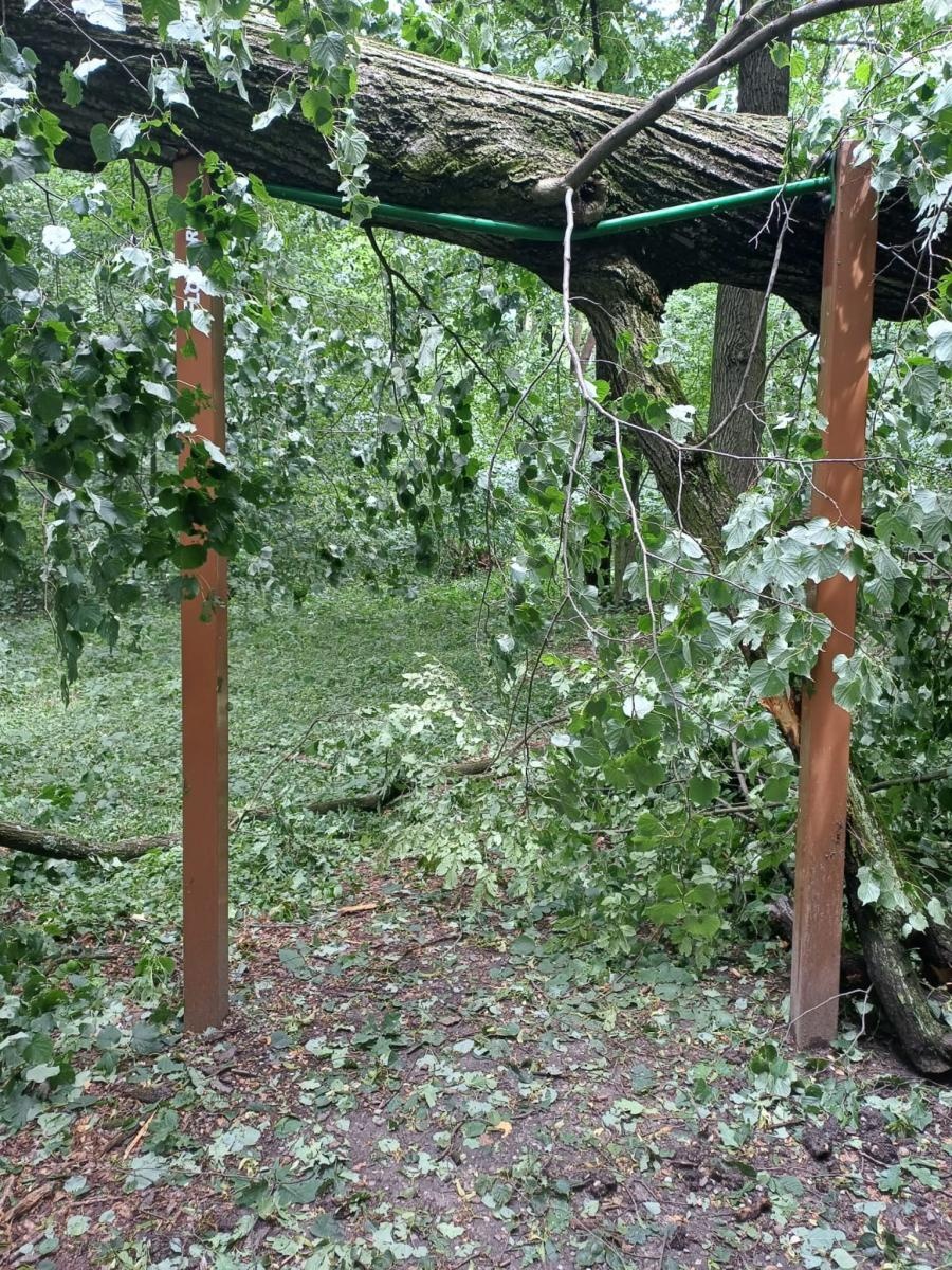 Zdjęcie w galerii na portalu naszraciborz.pl: Las Obora zamknięty do odwołania. Duże zniszczenia w drzewostanie [FOTO i WIDEO] wiadomości z regionu