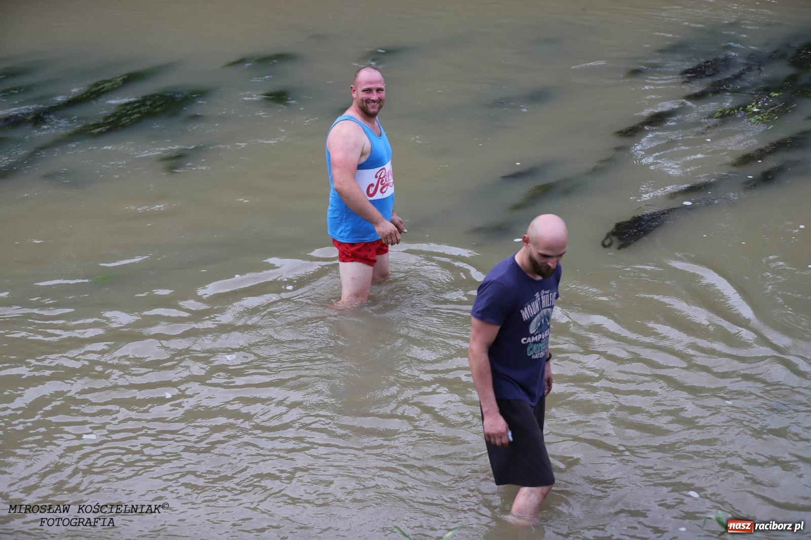 Zdjęcie w galerii na portalu naszraciborz.pl: W piątek na Odrze w Raciborzu zwodowano pierwsze jednostki wiadomości z regionu