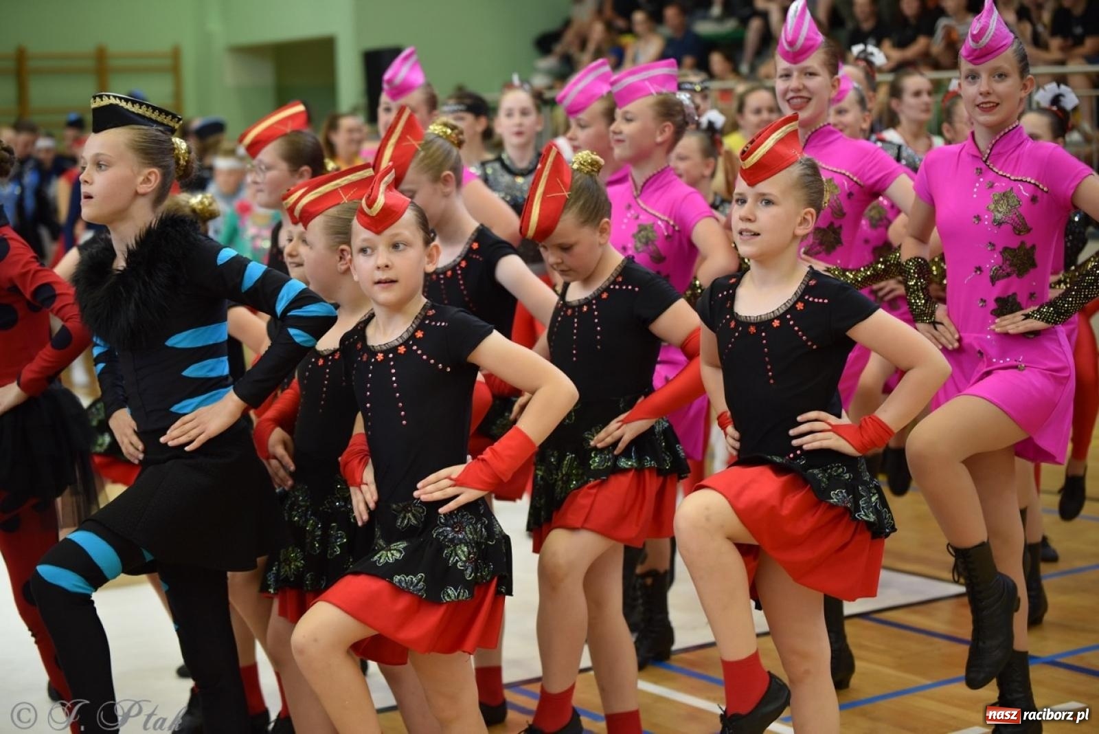 Zdjęcie w galerii na portalu naszraciborz.pl: Racibórz gospodarzem 17. Mistrzostw Europy Mażoretek [FOTO] wiadomości z regionu