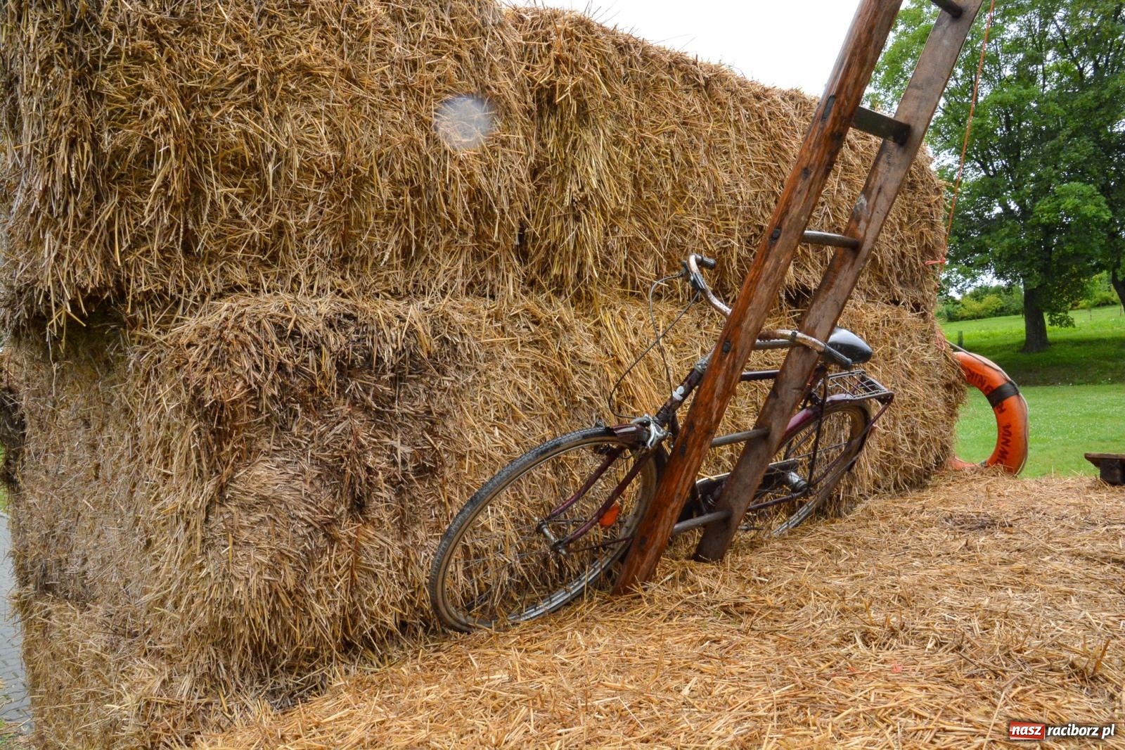 Zdjęcie w galerii na portalu naszraciborz.pl: Dawid Skatuła wygrał wędkarskie zawody spławikowe w Krowiarkach wiadomości z regionu