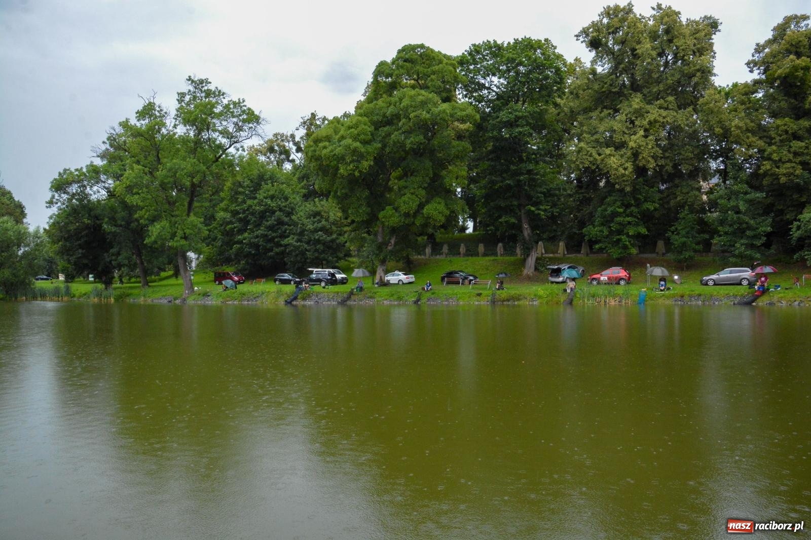 Zdjęcie w galerii na portalu naszraciborz.pl: Dawid Skatuła wygrał wędkarskie zawody spławikowe w Krowiarkach wiadomości z regionu