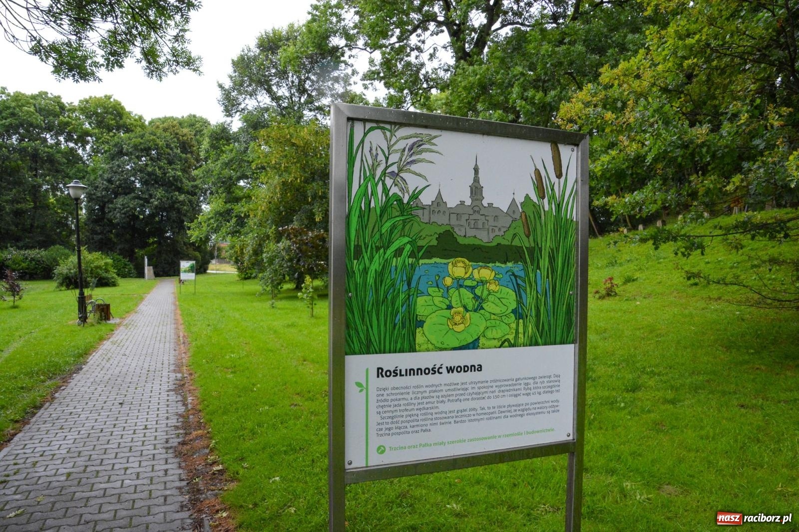 Zdjęcie w galerii na portalu naszraciborz.pl: Dawid Skatuła wygrał wędkarskie zawody spławikowe w Krowiarkach wiadomości z regionu