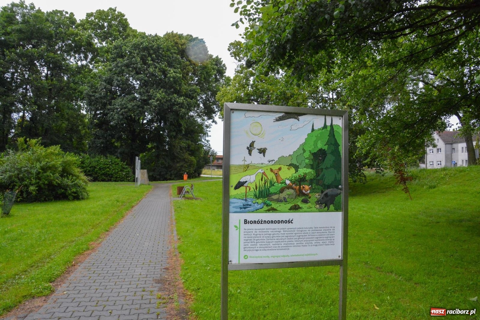 Zdjęcie w galerii na portalu naszraciborz.pl: Dawid Skatuła wygrał wędkarskie zawody spławikowe w Krowiarkach wiadomości z regionu