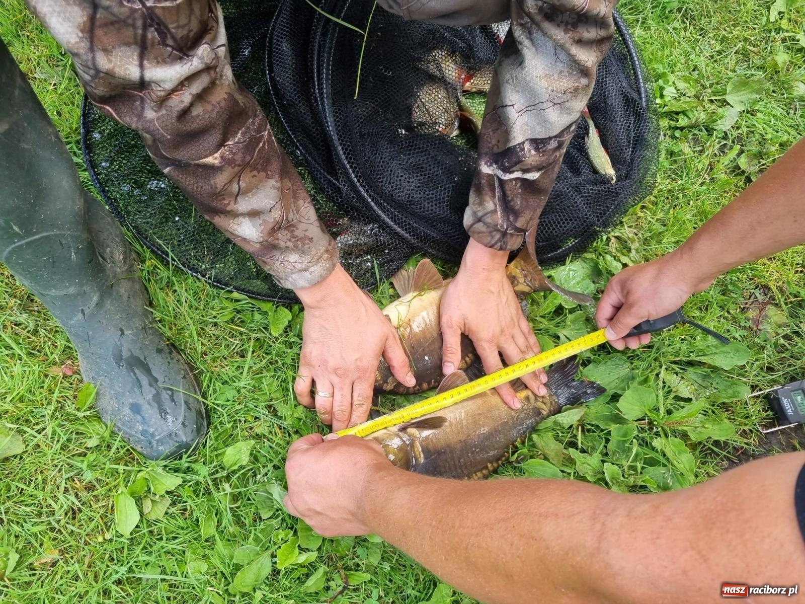 Zdjęcie w galerii na portalu naszraciborz.pl: Dawid Skatuła wygrał wędkarskie zawody spławikowe w Krowiarkach wiadomości z regionu