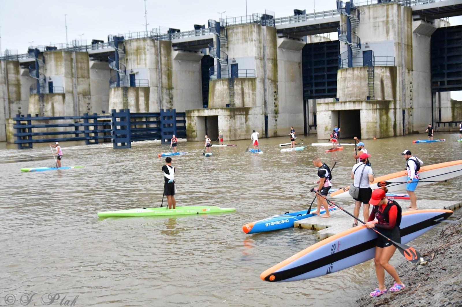Zdjęcie w galerii na portalu naszraciborz.pl: Odra SUP Cup. Wyścig na najdłuższym dystansie wystartował spod zapory wiadomości z regionu