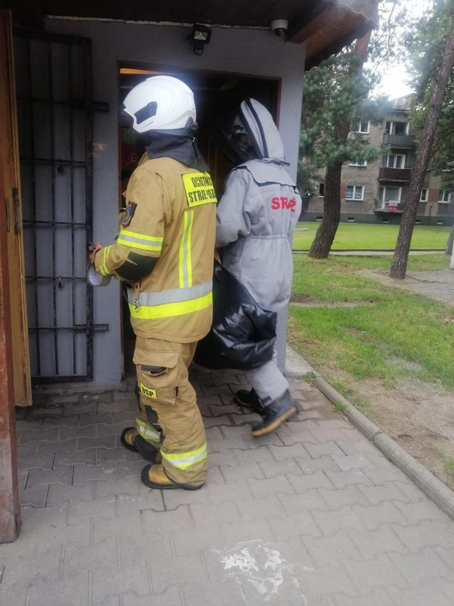 Zdjęcie w galerii na portalu naszraciborz.pl: Osy w kiosku w Kuźni Raciborskiej wiadomości z regionu