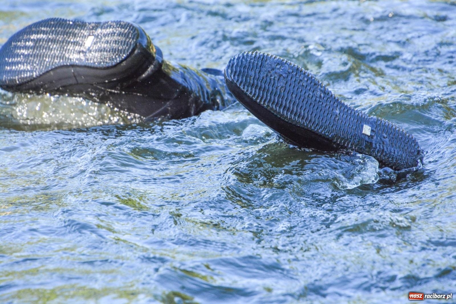 Zdjęcie w galerii na portalu naszraciborz.pl: Płetwonurkowie odkryli w stawie w Krowiarkach skarb wiadomości z regionu