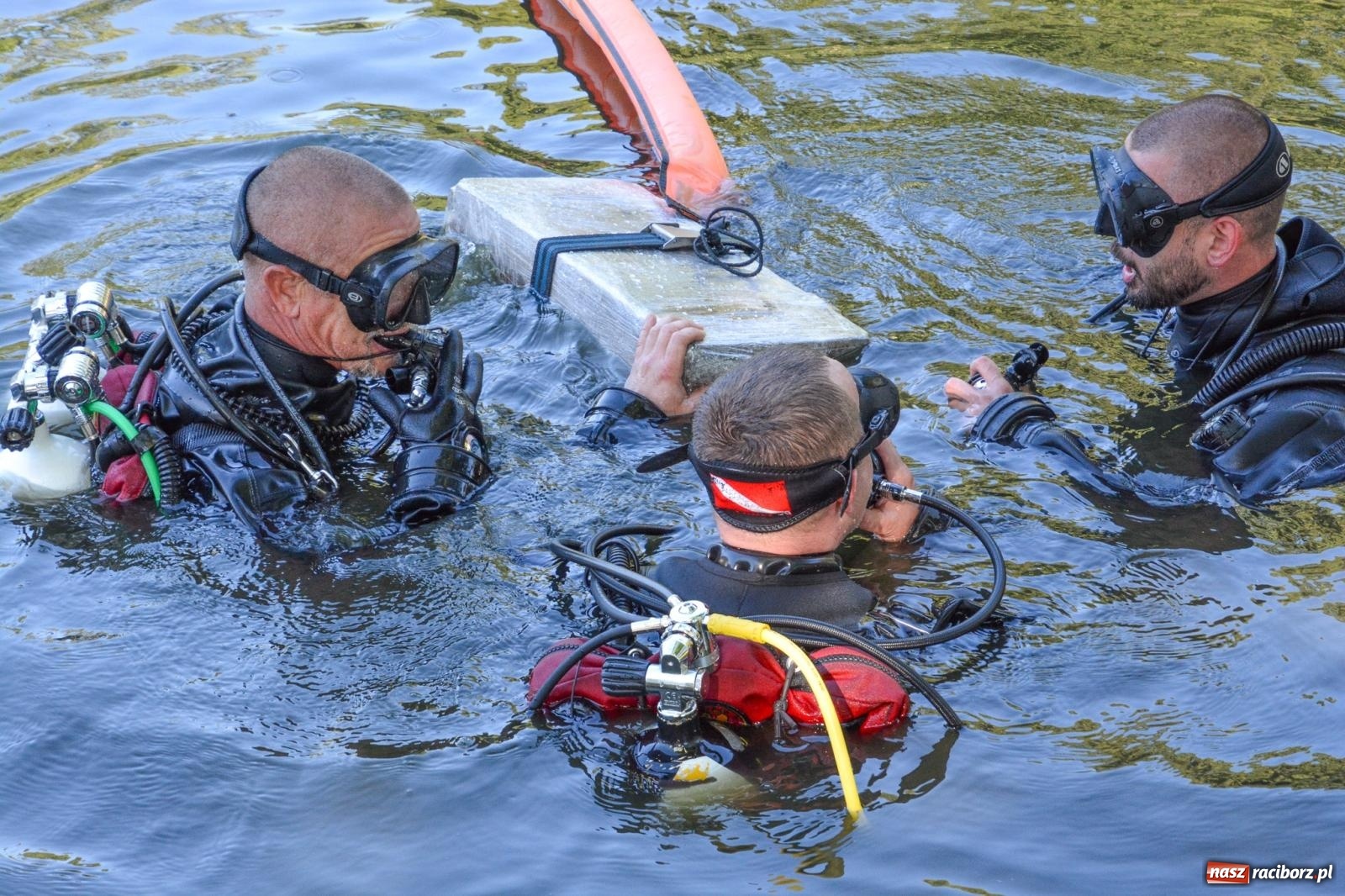 Zdjęcie w galerii na portalu naszraciborz.pl: Płetwonurkowie odkryli w stawie w Krowiarkach skarb wiadomości z regionu