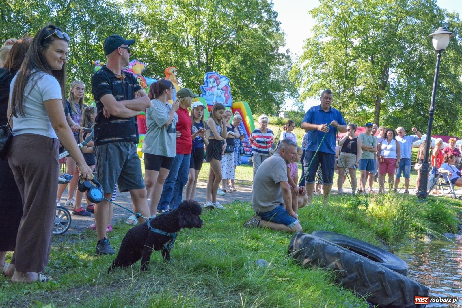 Zdjęcie w galerii na portalu naszraciborz.pl: Płetwonurkowie odkryli w stawie w Krowiarkach skarb wiadomości z regionu