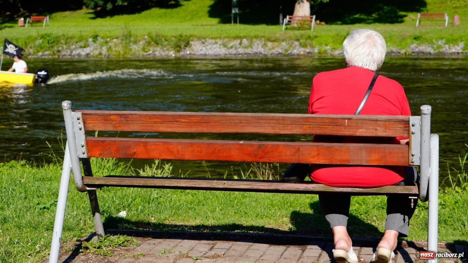 Zdjęcie w galerii na portalu naszraciborz.pl: Płetwonurkowie odkryli w stawie w Krowiarkach skarb wiadomości z regionu