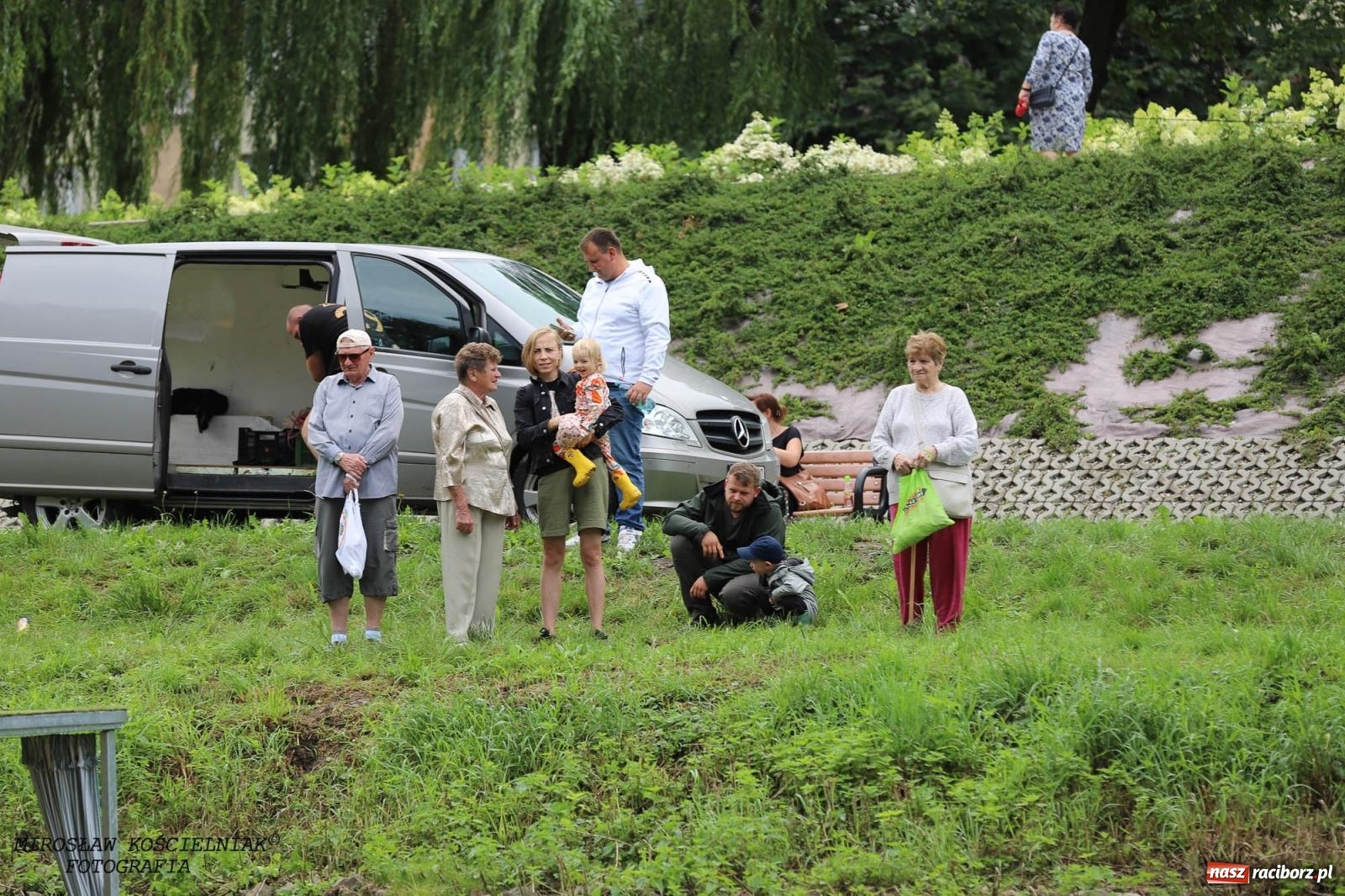 Zdjęcie w galerii na portalu naszraciborz.pl: Pływadło 2024 na bis! Tak to wyglądało w Raciborzu [FOTO] wiadomości z regionu