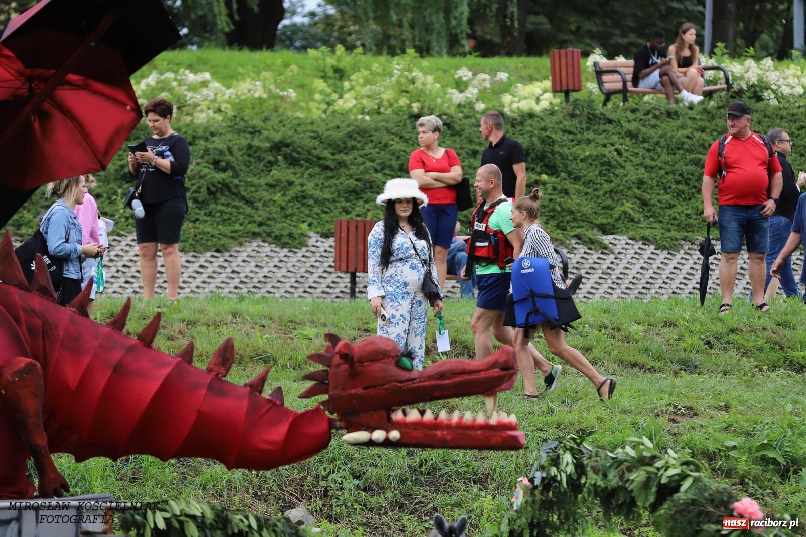 Zdjęcie w galerii na portalu naszraciborz.pl: Pływadło 2024 na bis! Tak to wyglądało w Raciborzu [FOTO] wiadomości z regionu