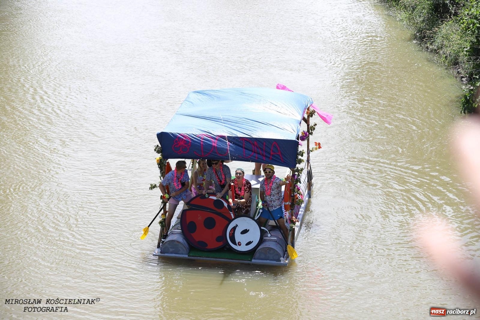Zdjęcie w galerii na portalu naszraciborz.pl: Pływadło 2024 na bis! Tak to wyglądało w Raciborzu [FOTO] wiadomości z regionu