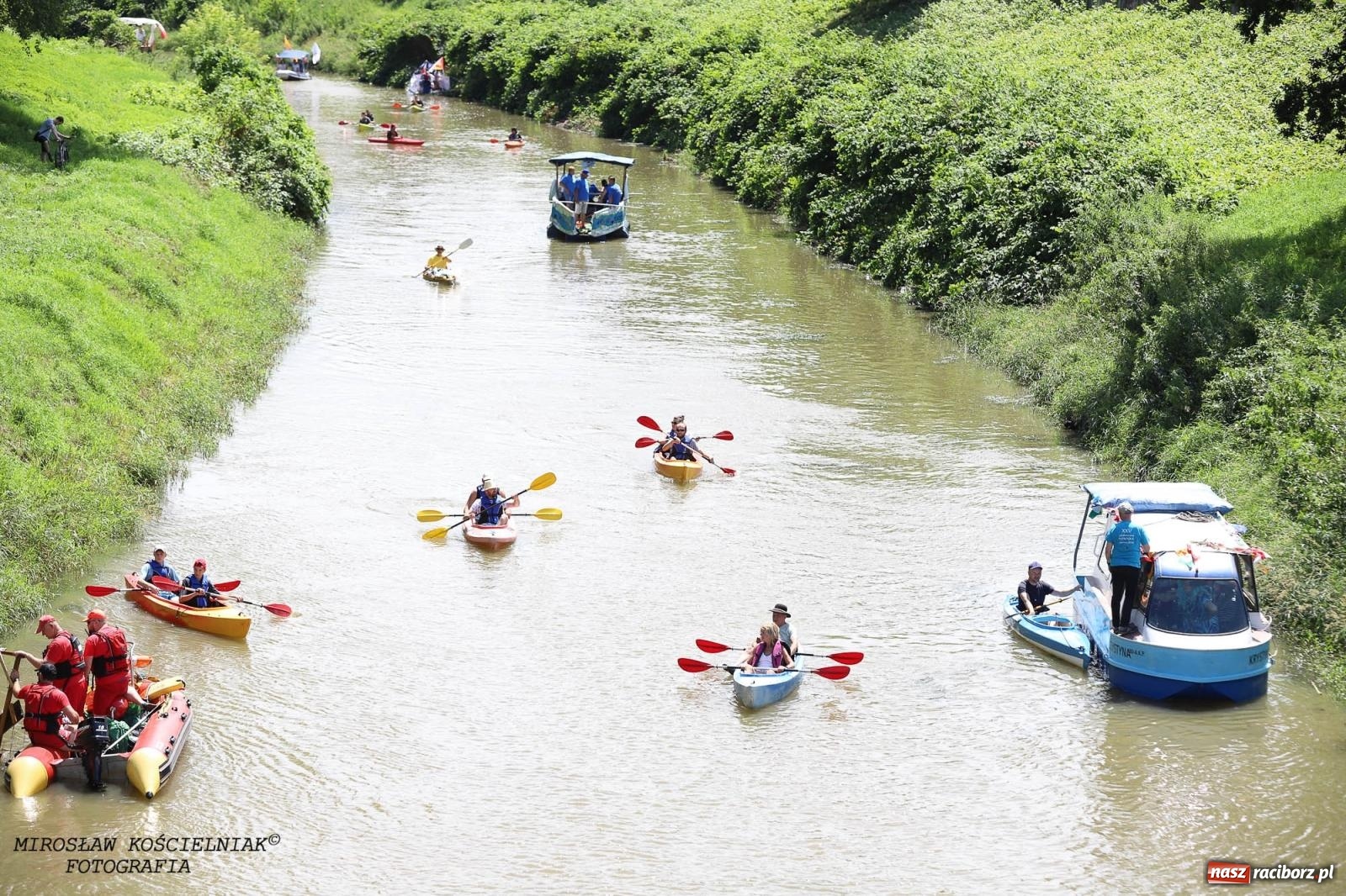 Zdjęcie w galerii na portalu naszraciborz.pl: Pływadło 2024 na bis! Tak to wyglądało w Raciborzu [FOTO] wiadomości z regionu