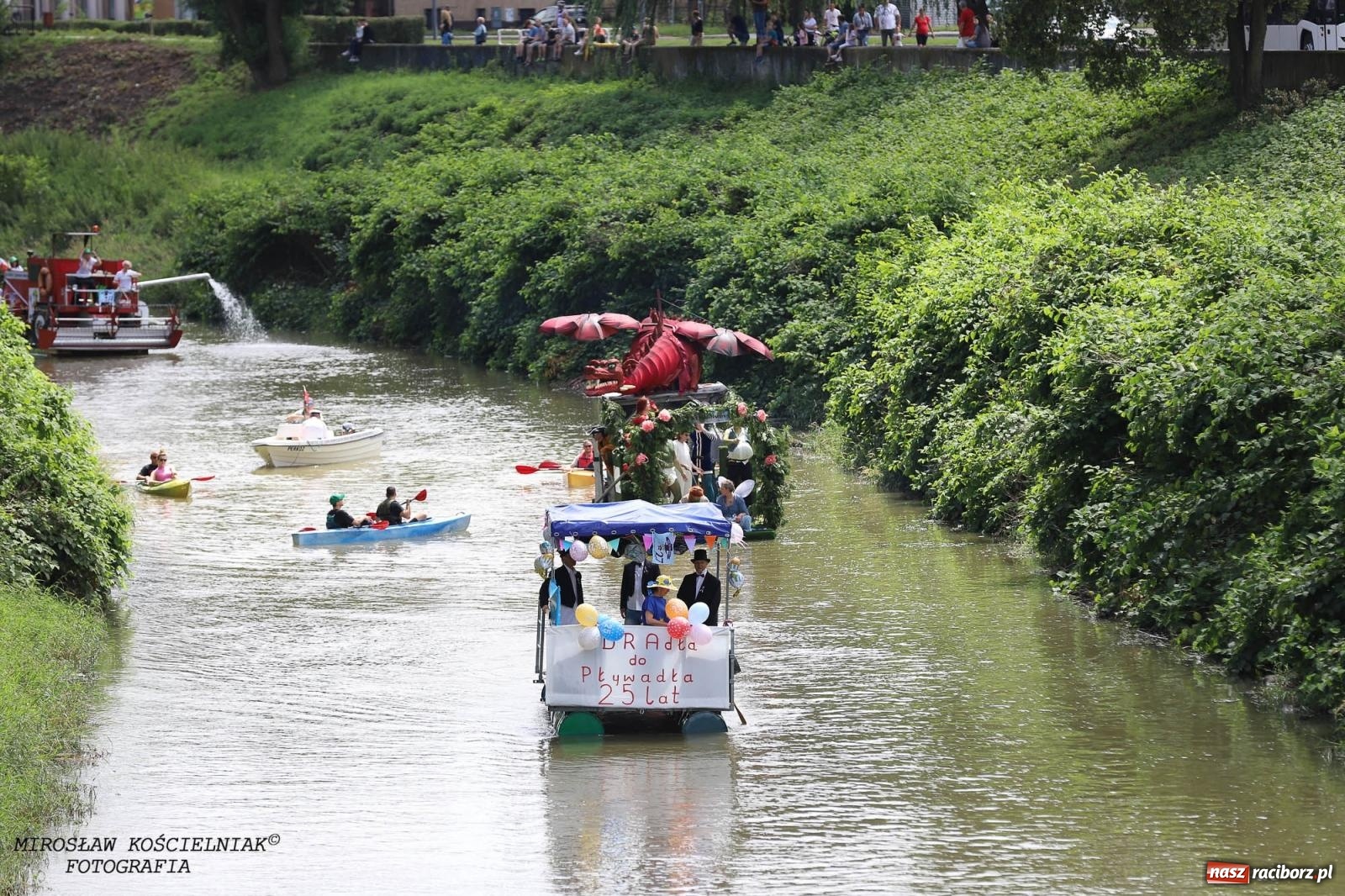 Zdjęcie w galerii na portalu naszraciborz.pl: Pływadło 2024 na bis! Tak to wyglądało w Raciborzu [FOTO] wiadomości z regionu