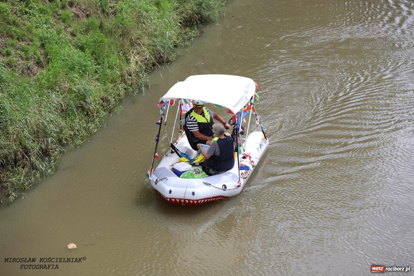 Zdjęcie w galerii na portalu naszraciborz.pl: Pływadło 2024 na bis! Tak to wyglądało w Raciborzu [FOTO] wiadomości z regionu