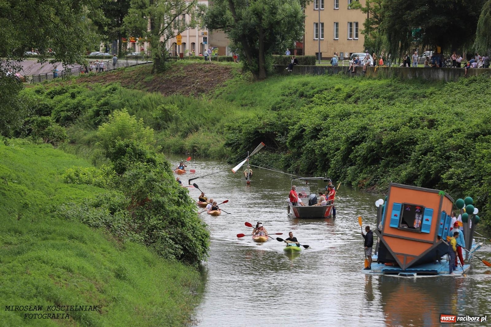 Zdjęcie w galerii na portalu naszraciborz.pl: Pływadło 2024 na bis! Tak to wyglądało w Raciborzu [FOTO] wiadomości z regionu