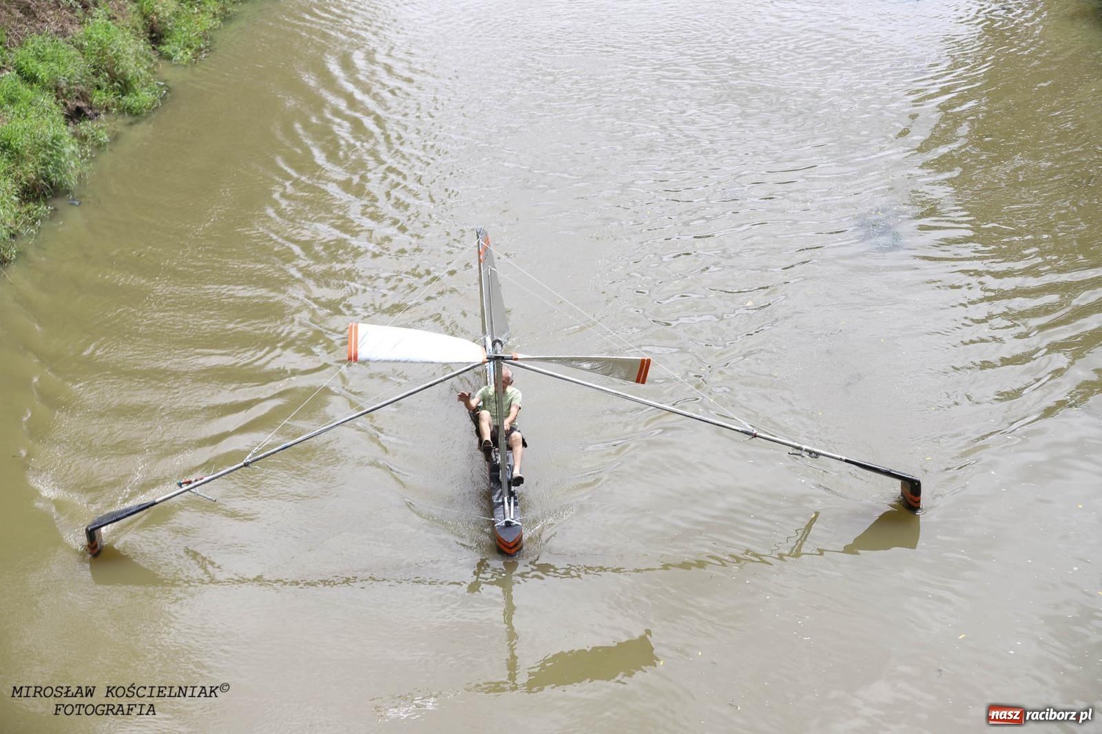 Zdjęcie w galerii na portalu naszraciborz.pl: Pływadło 2024 na bis! Tak to wyglądało w Raciborzu [FOTO] wiadomości z regionu