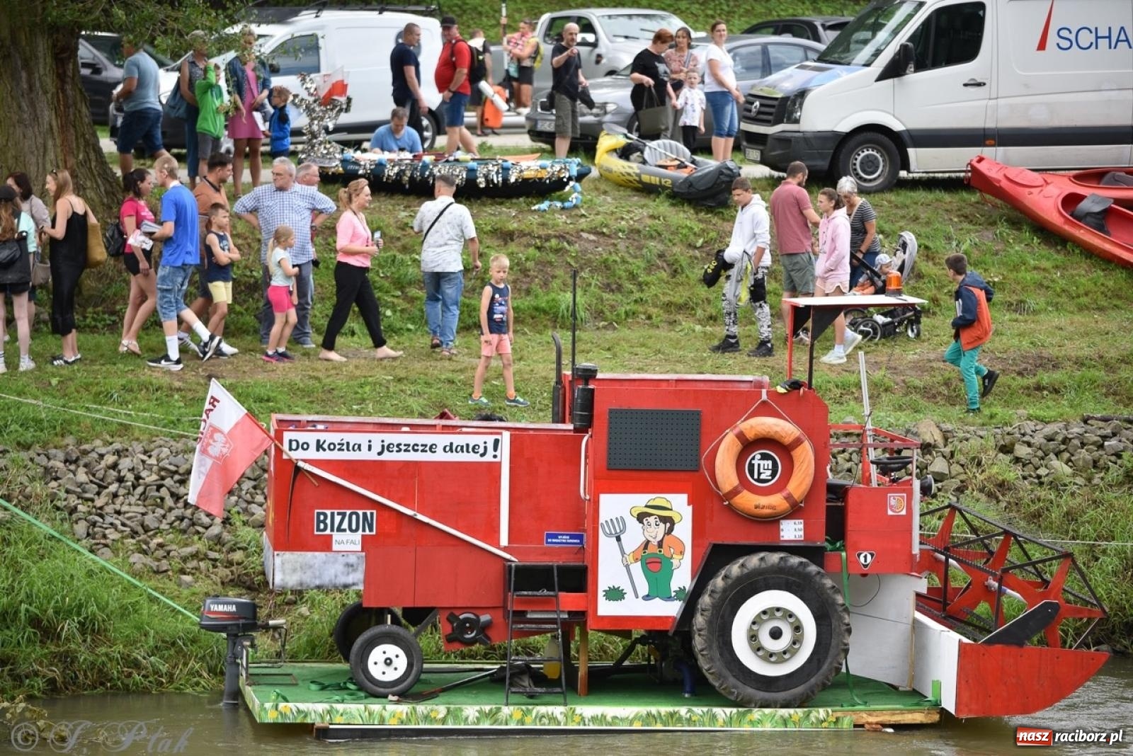 Zdjęcie w galerii na portalu naszraciborz.pl: Pływadło 2024 na bis! Tak to wyglądało w Raciborzu [FOTO] wiadomości z regionu