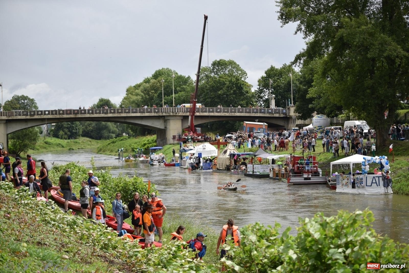 Zdjęcie w galerii na portalu naszraciborz.pl: Pływadło 2024 na bis! Tak to wyglądało w Raciborzu [FOTO] wiadomości z regionu