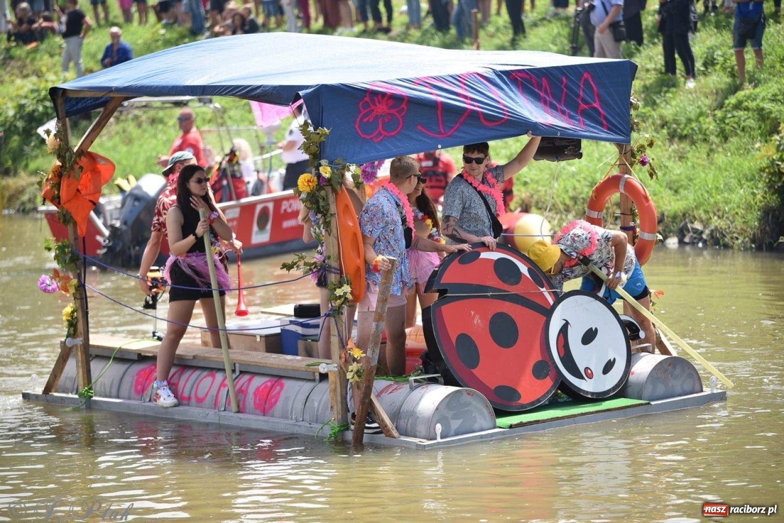 Zdjęcie w galerii na portalu naszraciborz.pl: Pływadło 2024 na bis! Tak to wyglądało w Raciborzu [FOTO] wiadomości z regionu