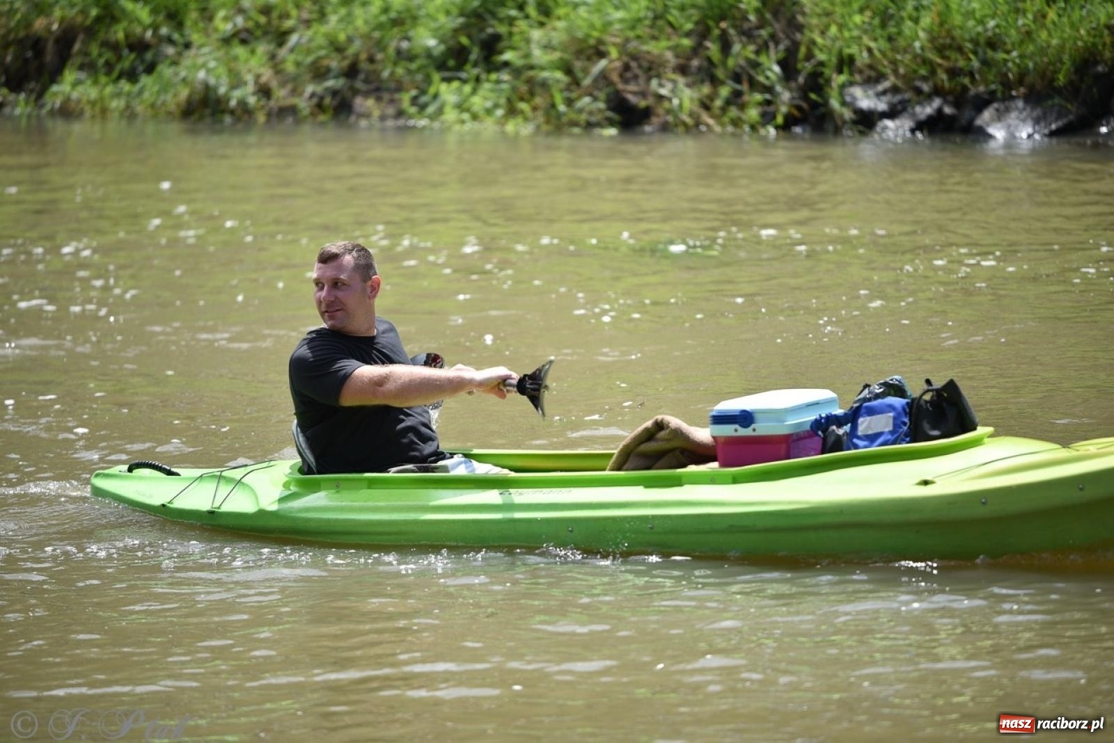 Zdjęcie w galerii na portalu naszraciborz.pl: Pływadło 2024 na bis! Tak to wyglądało w Raciborzu [FOTO] wiadomości z regionu
